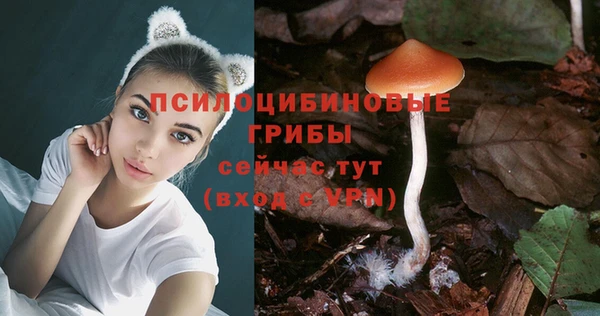 дурь Абдулино