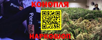 не бодяженный Тара