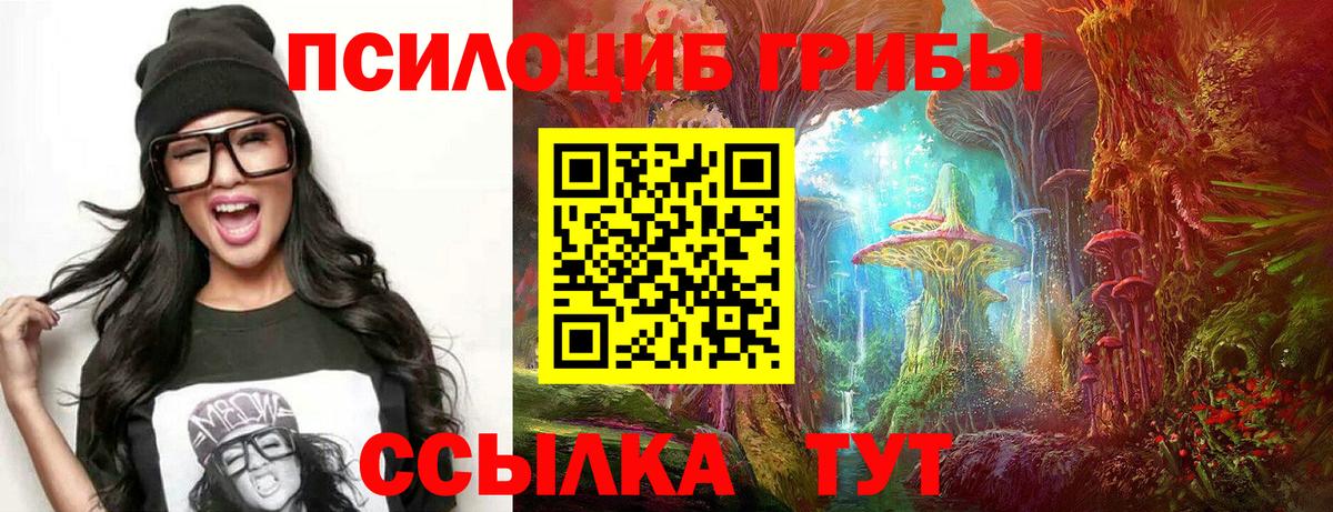 Орск  Галлюциногенные грибы Cubensis  Вход с VPN 