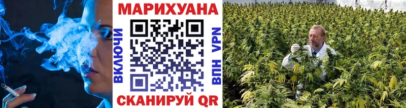 Марихуана ГИДРОПОН  ссылка на мегу сайт  Орск  даркнет сайт 